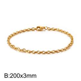 Stainless Steel Gold-plating Bracelet